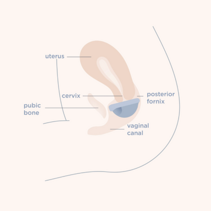 Saalt Menstrual Disc