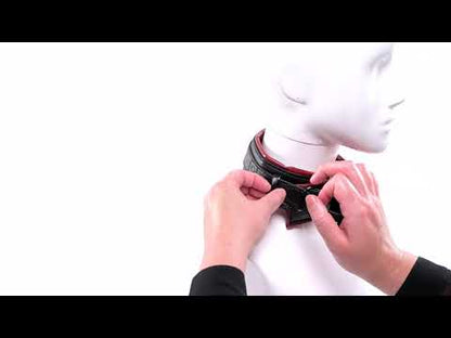 Saffron Collar & Leash